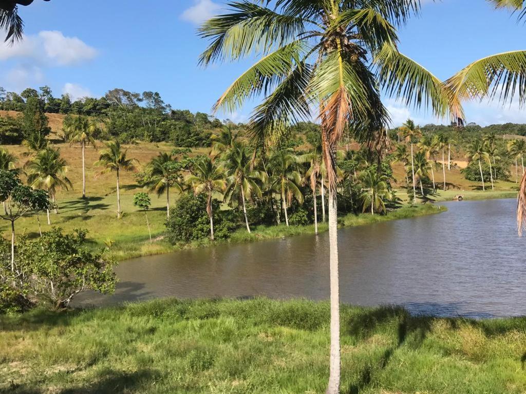 Oka Milagres 22 Villa São Miguel dos Milagres Eksteriør billede